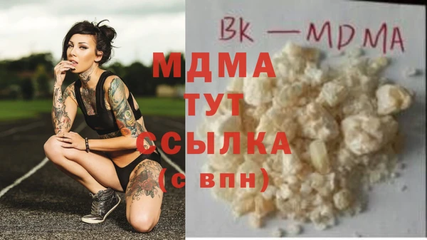 индика Вяземский